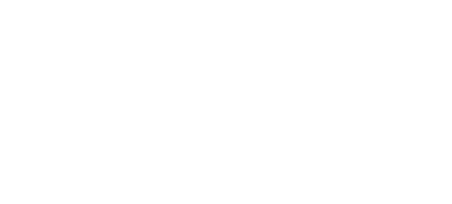 Prointel